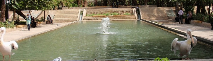 باغ گلشن، تنوع بی‌نظیر گیاهان در اقلیم کویری طبس